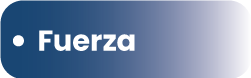 Fuerza